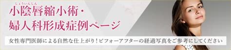 びらびらの大きさ標準は？一般普通サイズを徹底解説…